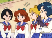 Sailor Moon: Serena, Molly and friends.