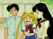 Sailor Moon: Darien, Luna, Serena and Raye