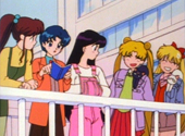 Sailor Moon: The Sailor Scouts