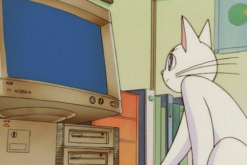The white cat Artemis from the 90s Sailor Moon anime using a computer