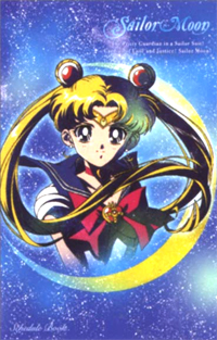 sailor moon schedule diary journal book for 2014