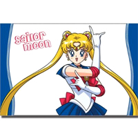 sailor moon pose pillow case