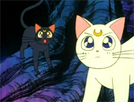 Sailor Moon DiC DVD #1 Image Quality Screencap