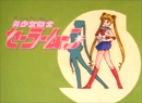 Sailor Moon Bumper 1