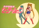 Sailor Moon Bumper 2