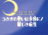 Sailor Moon: Usagi's Everlasting Wish! A New Reincarnation