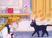 Sailor Moon: Luna tells Serena about Sailor Moon