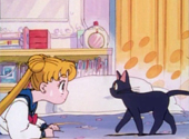 01 – Serena / Sailor Moon