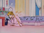 Sailor Moon: Serena and Luna