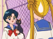 Sailor Moon: Amy, Luna and Serena
