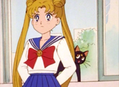 Sailor Moon: Fight to the Finish