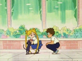 Sailor Moon: Serena, Luna and Melvin
