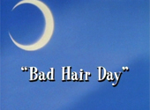 Sailor Moon: Bad Hair Day