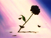 Sailor Moon: Tuxedo Mask's Black Rose