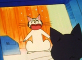 Sailor Moon: Artemis and Luna
