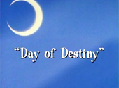 Sailor Moon: Day of Destiny