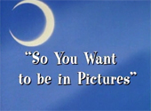 Sailor Moon R: So You Want to be in Pictures Sailor Moon R: So You Want to be in Pictures