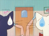 Sailor Moon R: So You Want to be in Pictures