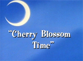 Sailor Moon R: Cherry Blossom Time