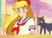 Sailor Moon R: Sailor Mercury Moving On?