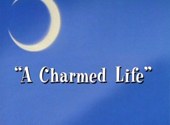 Sailor Moon R: A Charmed Life Sailor Moon R: A Charmed Life