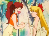 Sailor Moon R: A Charmed Life