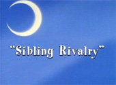 Sailor Moon R: Sibling Rivalry
