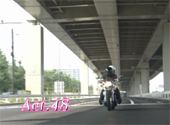 Pretty Guardian Sailor Moon: Live Action Sailor Moon: