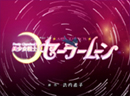 Pretty Guardian Sailor Moon: Live Action Sailor Moon: