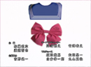 Pretty Guardian Sailor Moon: Live Action Sailor Moon: