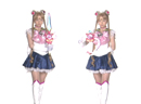 Pretty Guardian Sailor Moon Live Action Sailor Moon