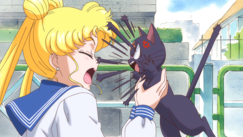 Luna scratching Usagi in Pretty Guardian Sailor Moon Crystal Act.1 Usagi - Sailor Moon anime episode.