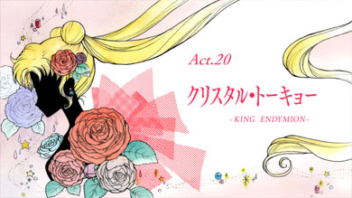 pretty guardian sailor moon crystal act.20 crystal tokyo - king endymion -