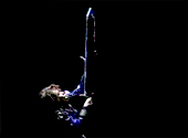 Sailor MoonWinter Special Musical: Decisive Battle / Forest of Transylvania (Revision) - The Srongest Enemy, The Mystery of Dark Cain