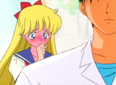 Sailor Moon S: Individual Happiness