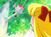 Sailor Moon S: Individual Happiness