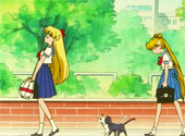 Sailor Moon S: No Turning Back