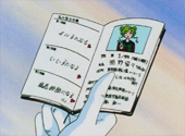 Sailor Moon S: Fiendish Ferns
