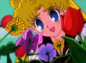 Sailor Moon Sailor Stars: For the Sake of Love! Endless Battle in the Dark World