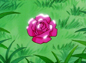Sailor Moon Sailor Stars: For the Sake of Love! Endless Battle in the Dark World