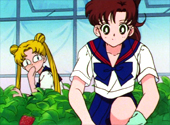 Sailor Moon Sailor Stars: Enemies? Allies? The Starlights and the Sailor Soldiers