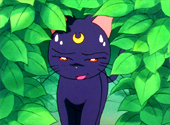 Sailor Moon Sailor Stars: Seiya and Usagi's (Serena's) Heart Pounding Date