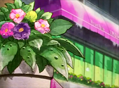 Sailor Moon Sailor Stars: Princess Kakyu Burns Out! Galaxia Descends