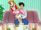 Sailor Moon SuperS: Perfect Couple