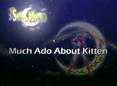 Sailor Moon SuperS: Much Ado About Kitten