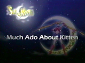 Sailor Moon SuperS: Much Ado About Kitten Sailor Moon SuperS: Much Ado About Kitten