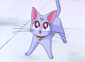 Sailor Moon SuperS: Much Ado About Kitten