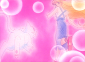 Sailor Moon SuperS: Double Trouble