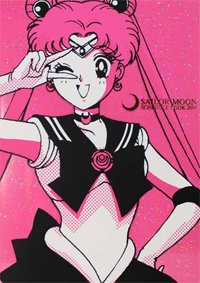 sailor moon schedule diary journal book for 2014