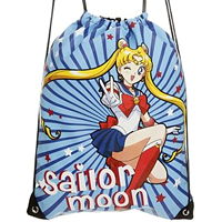 sailor moon bag